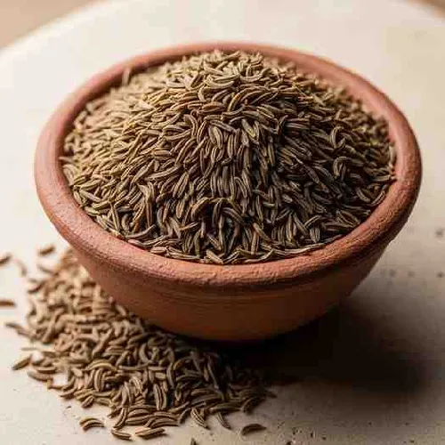শাহী মেজবানী মশলা
